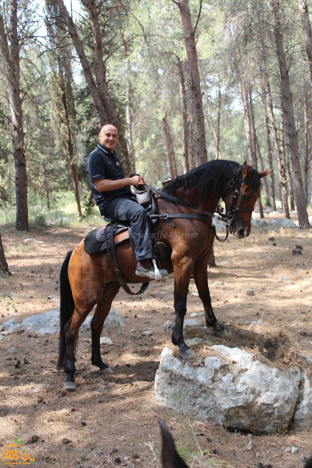 صور: مجموعة من شباب مدينة يافا تستهويهم رياضة الفروسية وركوب الخيل 